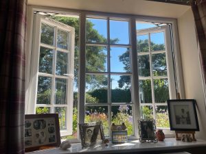 view-from-my-window